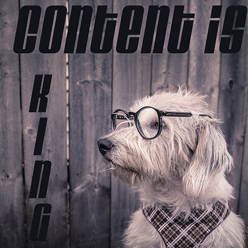 content is king.jpg